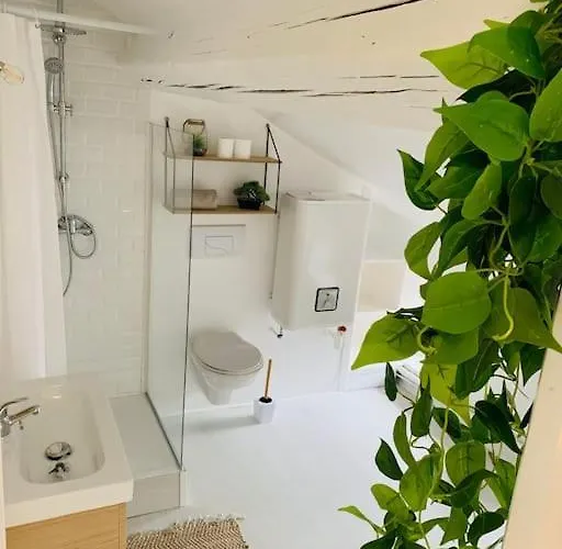 En Centre-ville Remiremont